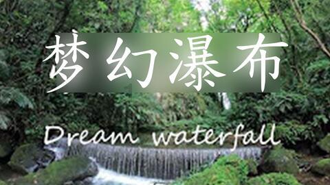 植物的枝丫会走人体的四肢。可以说，它们同气相求游戏画面