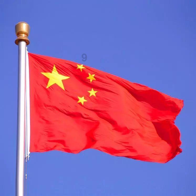 救援男孩贝利